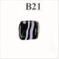 B21