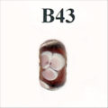 B43